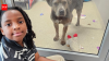 Meet Nehemiah Turner: The 11-year-old Florida boy who spent more than 100 hours reading to shelter animals and changed countless lives by helping anxious pets find forever homes