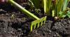 Gardening counts as exercise: protect your body while you work