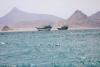 Houthi Attacks on Saudi Arabia Reduce Shipping in the Red Sea
