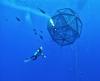 Kona-based company bringing aquaculture to Florida
