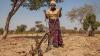 Getting back on track: turning global biodiversity promises into fair and locally-led action by 2030