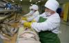 2,300 tons of fish caught in Kazakhstan’s Kyzylorda region in H1 2026
