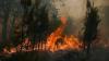 Around 3,000 Portuguese evacuated as Bordeaux wildfires advance