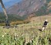 Ching-Tam Apunba Environmental Protection Committee formed in New Keithelmanbi Area