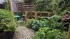 Gardener in the Netherlands shares lush backyard after just 1 of 20 birthday guests noticed it