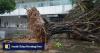 Hong Kong set for stronger storms and wetter winter this year as El Nino intensifies