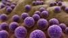 Predicting microbial antibiotic resistance with AI