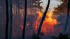 Europe wildfires force 300,000 to flee as France, Spain battle massive blazes