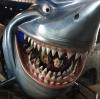 FYI New Jersey: Shark Sightings Increase By 1,000% Off U.S. Coast