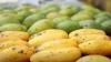 Bangladesh showcases mangoes in Kathmandu to boost exports