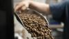 Made in the Bronx: Bronx Roasting Company brings locally roasted coffee to City Island