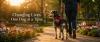 Medical Mutts to host ‘Swinging Fore Service Dogs’ fundraiser at Topgolf Fishers