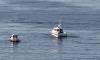 Search expanded for missing Austrian skipper off Croatian coast