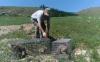 Mongolian Marmot Relocation Program Underway