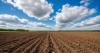 INS: Iowa farmers buckle down, weathering economic downturn