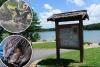 Are rabid beavers on a rampage in New York? Experts weigh in