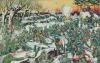The Russo-German struggle for a Baltic empire