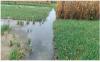 CSIR urges climate-smart farming to reduce flood losses