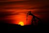 Oil Prices Plunge Over 8% as US and Iran Pause Strikes, Reviving Hopes for Strait of Hormuz Shipping