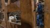 Goats become big business for small farmers as demand surges