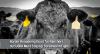 Texas Ag Commissioner Praises Cattle Import Reopening, Warns Screwworm Fight Isn’t Over