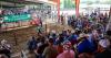 Youth market sale shatters record at Rosebud-Treasure County Fair