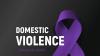 VOLUSIA COUNTY APPROVES FLORIDA'S FIRST DOMESTIC VIOLENCE REGISTRY