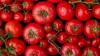Burkina Faso launches National Tomato Research Program to cut 30-40% post-harvest losses