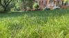 Recent rain is helping Virginia lawns, but experts say the drought is far from over