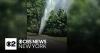 Water main break in New Jersey looks like geyser in Morris County