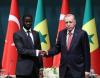 Türkiye's Erdogan, Senegal's Faye discuss ties, global issues