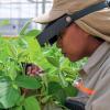 Brazil antitrust watchdog recommends Bayer be found liable in seeds case