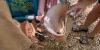 Ozarks conservation group brings hands-on water education to classrooms and the creek