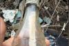 53-year-old message in a bottle found in New Jersey wetlands
