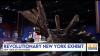 New York State Museum opens ‘Revolutionary New York’ exhibit celebrating America’s 250th anniversary