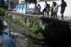 Alligators Bite Plastic Bags While Searching for Food in Western Rio de Janeiro
