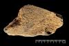 A 480,000-Year-Old Elephant Bone Hammer Sharpened Stone Axes in Ancient Britain