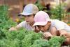 Planting Seeds at Painted Sky Farms