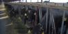 Dairy farm uses wearable tech to keep cows comfortable in Arizona heat