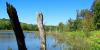 Indiana Wetlands Program Found Out Of Compliance By Federal Government
