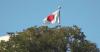 Japan's constitution revision, military buildup fuel regional tensions: lawyer