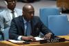 Sudan’s War Economy: Funded By Gum Arabic And Gold