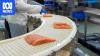 How the Norwegian government invented salmon sushi in the 1980s