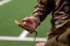 U.S. Army fast tracks new software functionality