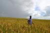 World Hunger Is Falling – We Know How To Keep It That Way
