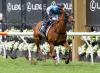Japan Racing Association Increases Number Of Foreign Betting Races By 84
