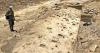 Footprints reshape what scientists know about extinct human relative