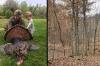Feds to Open Ohio’s Only National Forest to Fracking