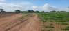 Farmers in CRR Demand Government to Resolve Border Dispute with Senegal