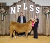 FFA member wins big at state convention